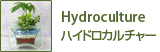 Hydroculture／ハイドロカルチャー